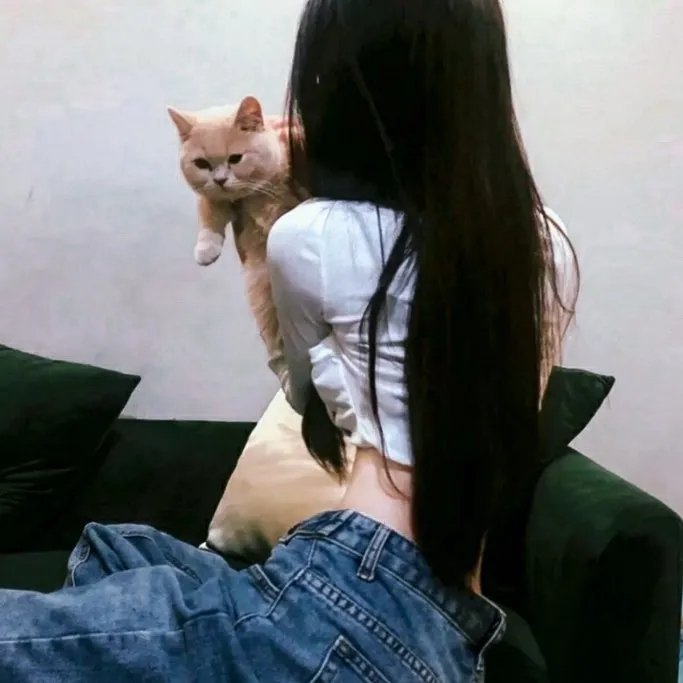 迷途的羔羊
